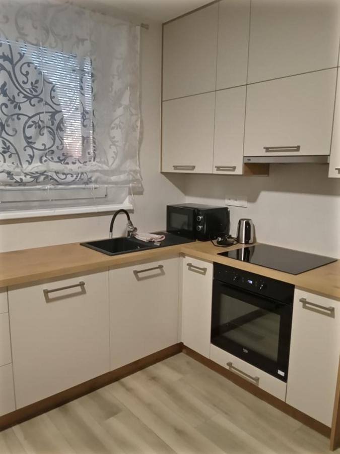 V Centru Apartment Lanžhot Екстериор снимка